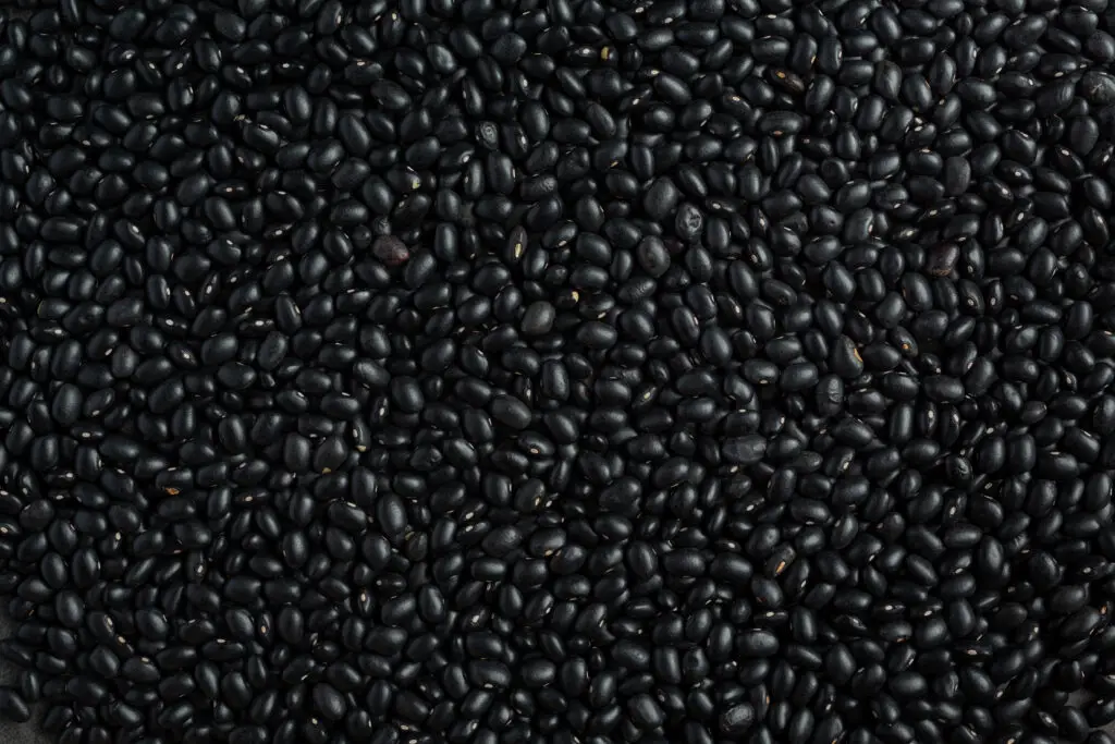 Black Beans - 8 superfoods you must include in your diet today!